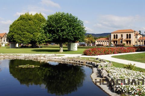 華全柴油發(fā)電機，新西蘭人民隔空喊話求幫助